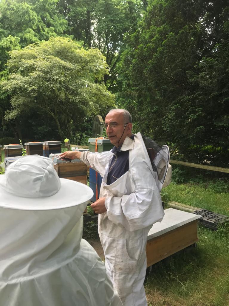 Bienenkunde am Westfriedhof Bottrop – Wir lieben Bottrop